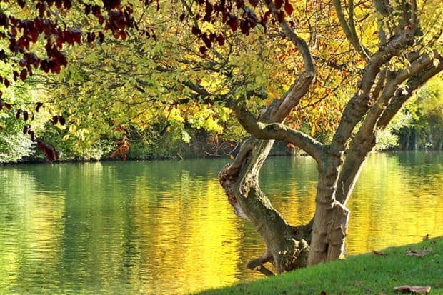 Bords de Marne en automne