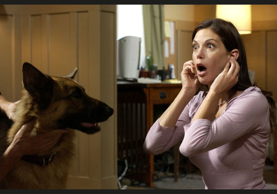 Teri Hatcher et le casting de Desperate Housewives