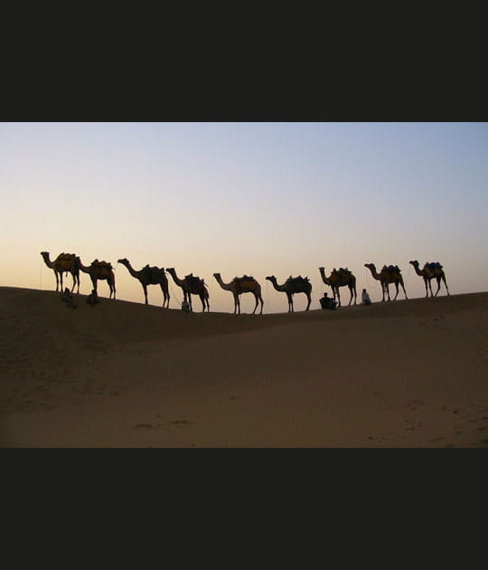 En attendant la nuit dans le d&eacute;sert&nbsp;du&nbsp;Thar...