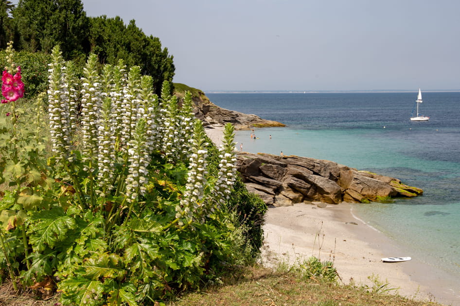 Fran&ccedil;ois Damiens, tr&egrave;s attach&eacute; &agrave; l'&icirc;le de Groix