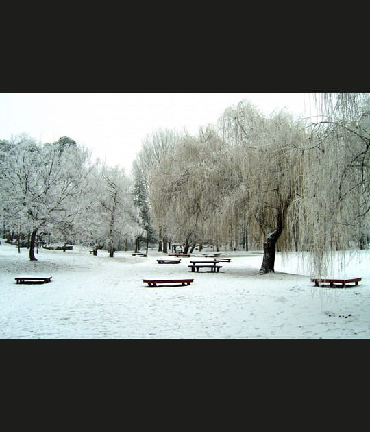 Bancs