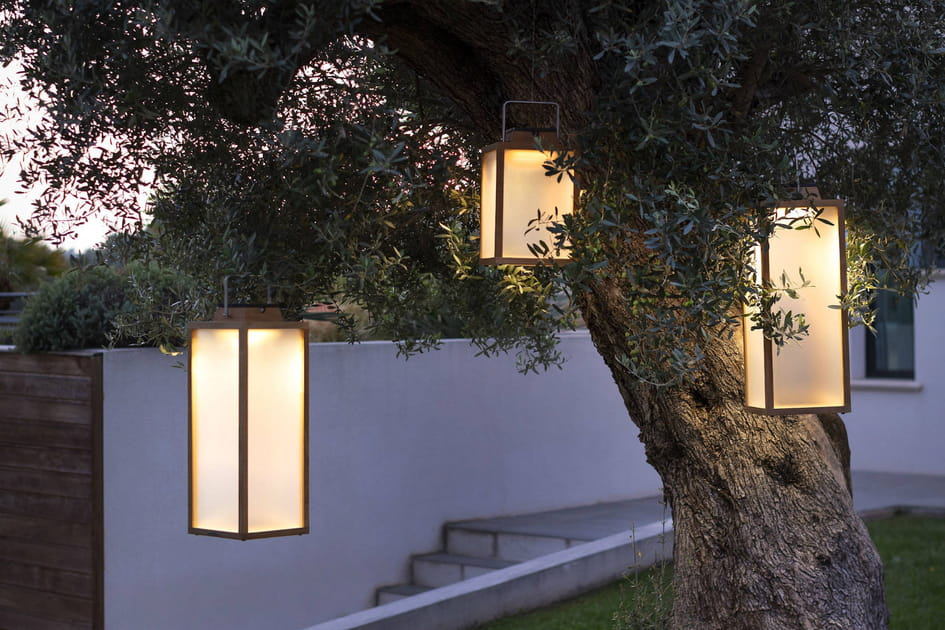 Des lanternes dans les arbres