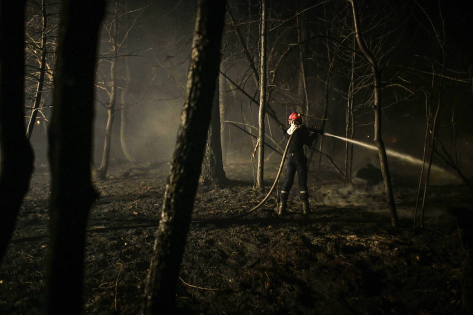 For&ecirc;t sans vie