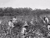 Ku Klux Klan, une histoire américaine : Naissance d'un empire invisible