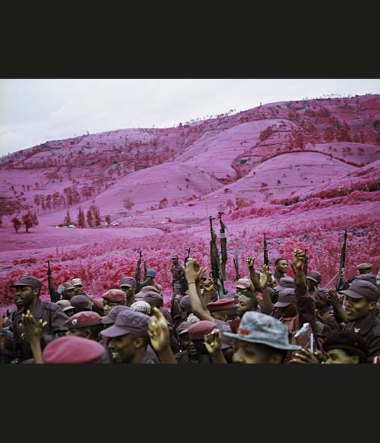 La vie en rose