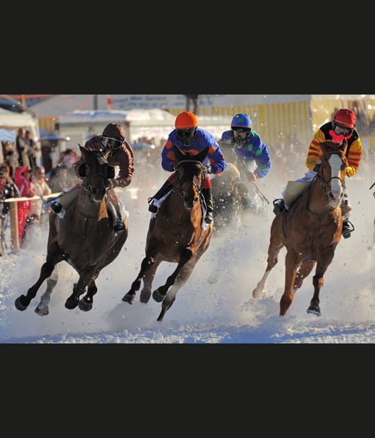 Course de chevaux sur neige