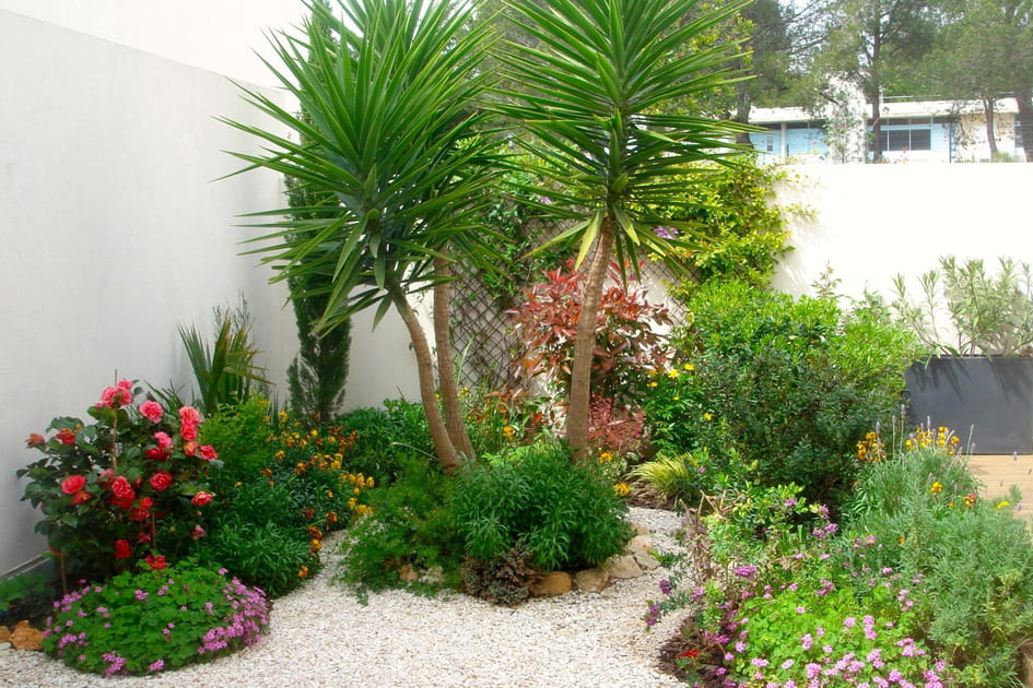 Un patio am&eacute;nag&eacute; avec soin