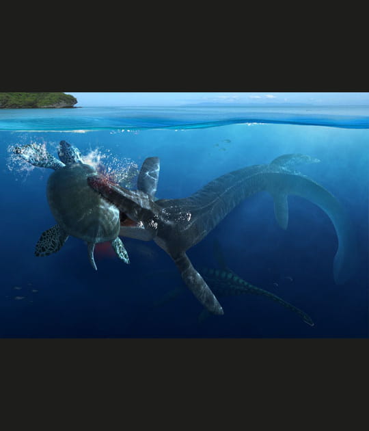 Redoutable crocodile