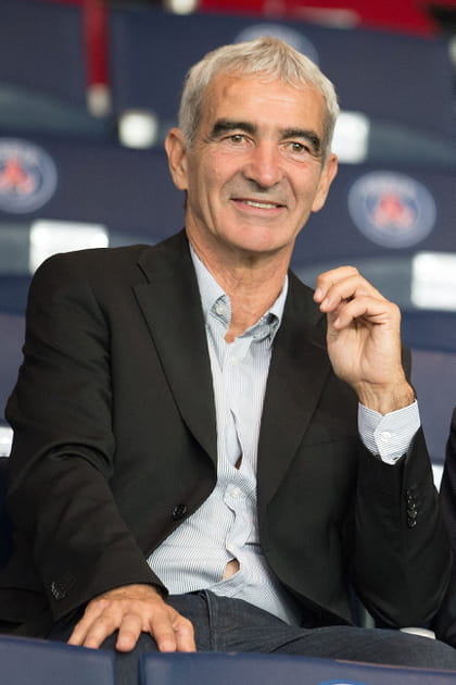 Raymond Domenech&nbsp;: &quot;pas le bon moment&quot;, &quot;pas envie&quot;