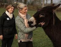 Hélène et les animaux : Se ressourcer grâce aux animaux