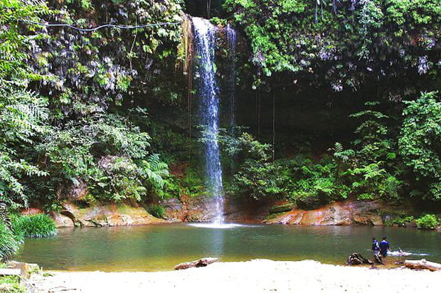 Parc national de Lambir Hills