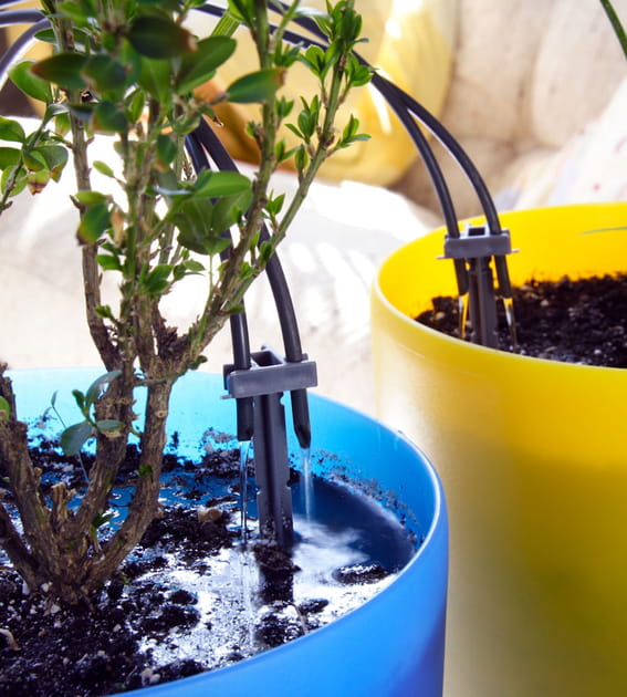 Un kit d'irrigation goutte-&agrave;-goutte, une solution pour arroser vos plantes pendant vos vacances