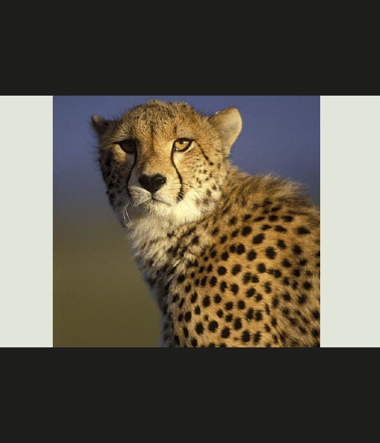 Maquillage de jour et de nuit