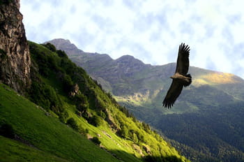 Les 100 photos de l'été 2007