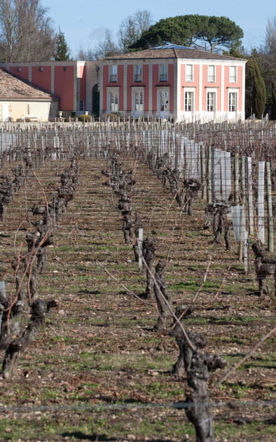 Des domaines viticoles en Gironde