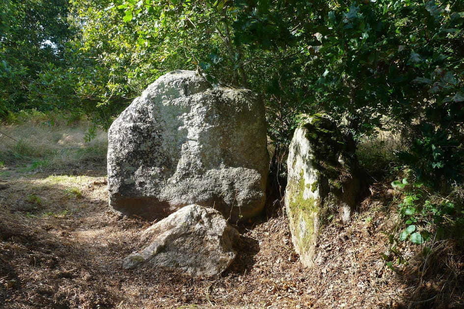 Le dolmen de Sandun