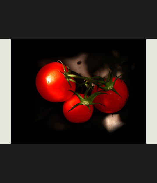 Tomates