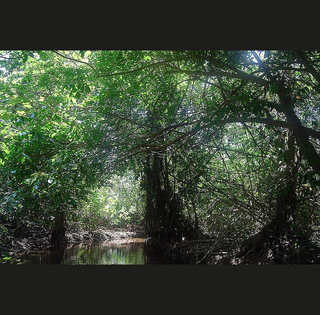 La mythique cit&eacute; blanche dans la jungle du Honduras ?