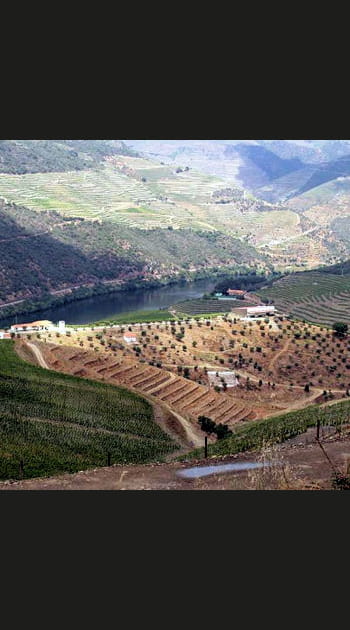 Le Douro, l'&acirc;me du Porto