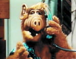 Alf