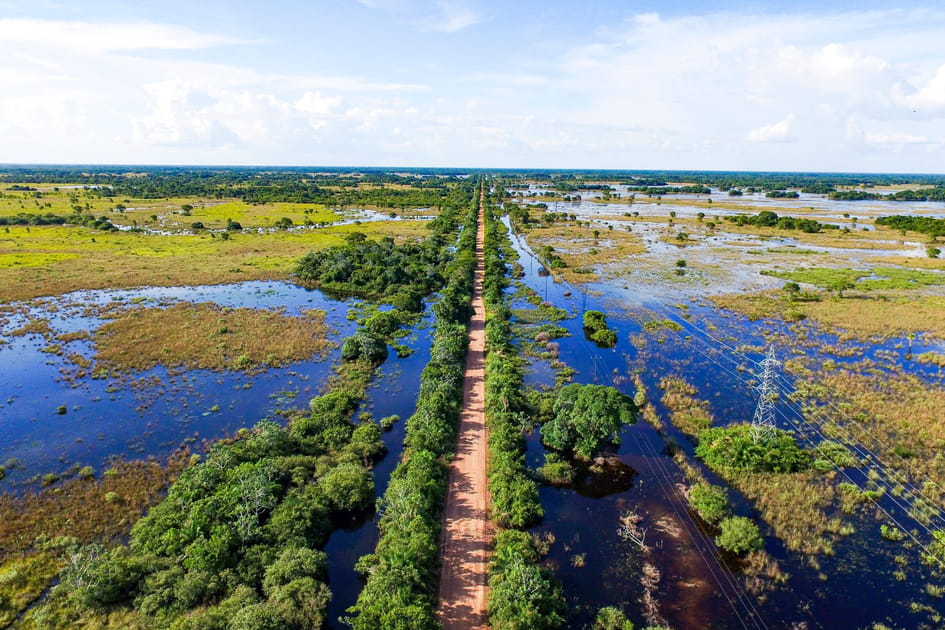 Estrada-Parque, la route mythique du Pantanal sud