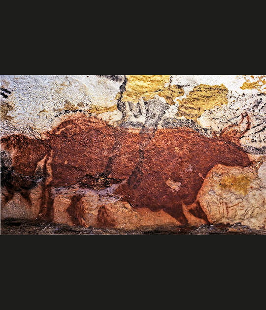 La vache rouge et le veau