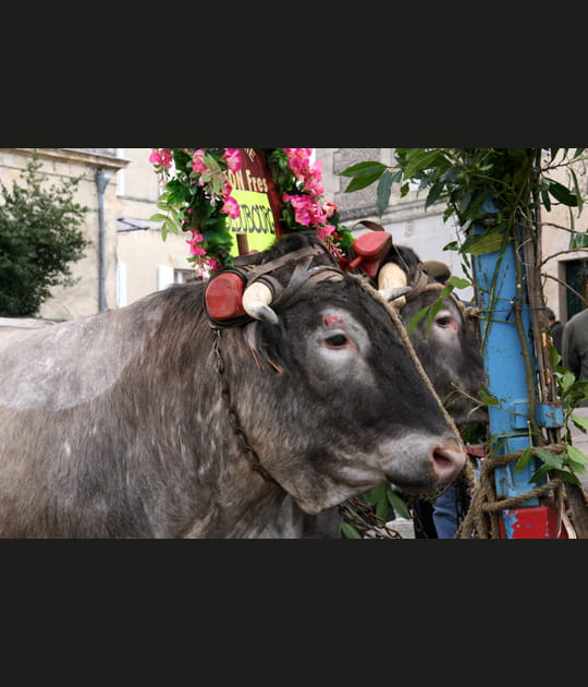 D&eacute;fil&eacute;