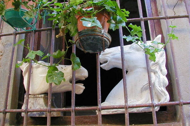 Rencontre et conversation