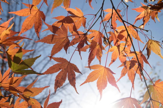 Des gel&eacute;es pr&eacute;coces et m&ecirc;me de la neige... La m&eacute;t&eacute;o d'octobre &agrave; No&euml;l se pr&eacute;cise, attention aux gouttes froides