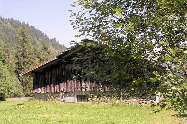 Une tradition agricole persistante