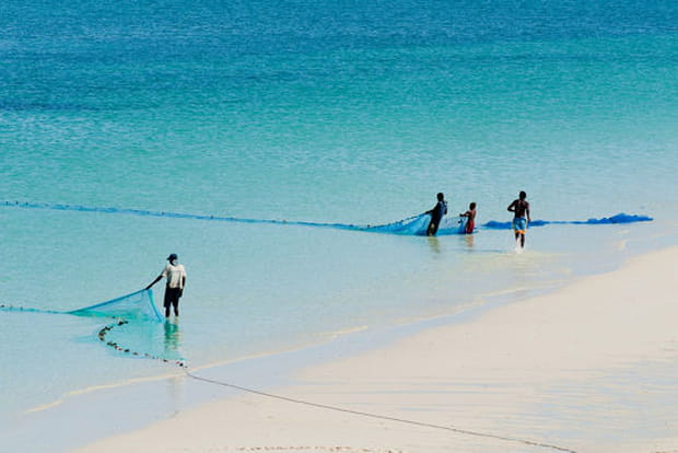 Les nomades de l'océan