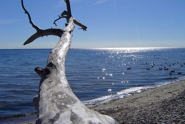 Le Lac Ontario, source du Saint-Laurent