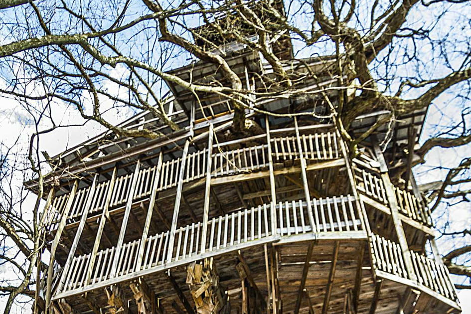 La maison arbre XXL