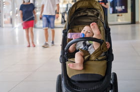Vous pouvez laisser un b&eacute;b&eacute; sans surveillance, vous promener seul la nuit... Ce pays est le plus s&ucirc;r et pacifique du monde
