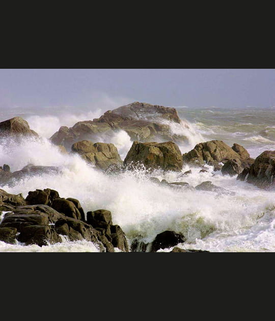 C&ocirc;te sauvage