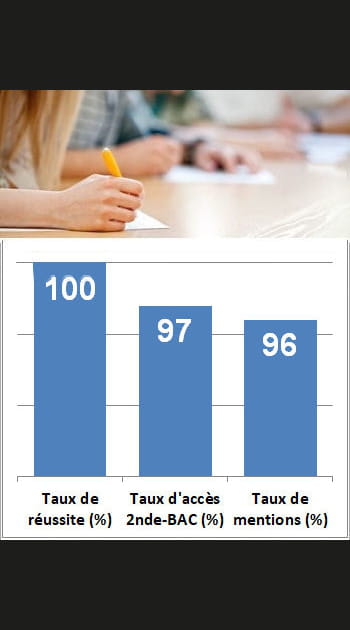 7e ex-aequo - Lyc&eacute;e Saint Dominique&nbsp;: 19,65/20