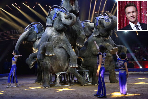 "Cette famille dompte des éléphants depuis des générations"