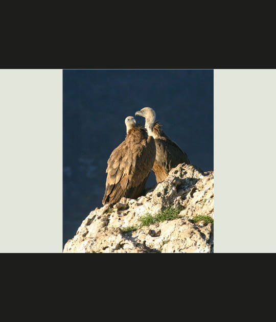 Prises de vue sp&eacute;ciales