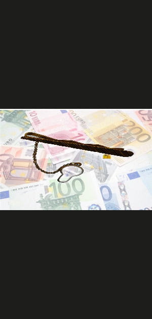 Un pince &agrave; cravate&nbsp;: 140,37&nbsp;euros