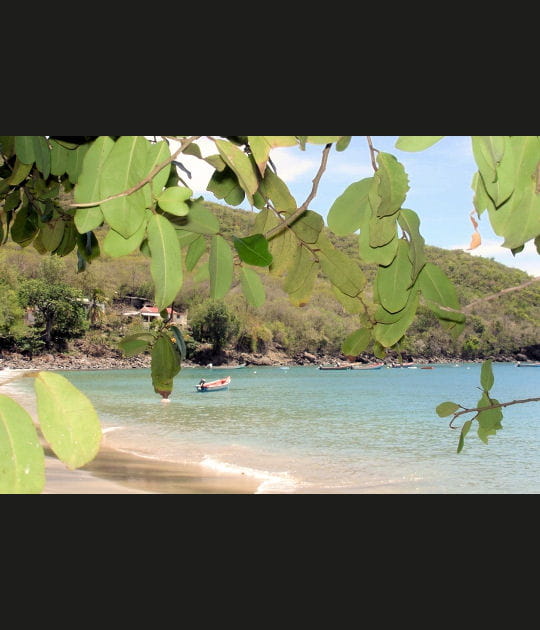 Anse Dufour, Martinique
