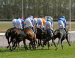 L'intégrale des courses