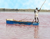 Les gens du fleuve : Sénégal, Mali, Mauritanie