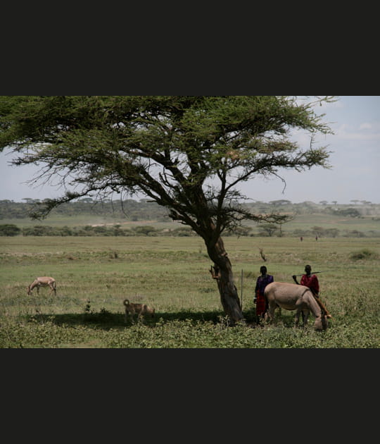 Pr&egrave;s d'un village Masa&iuml;