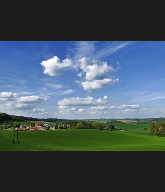 Panorama