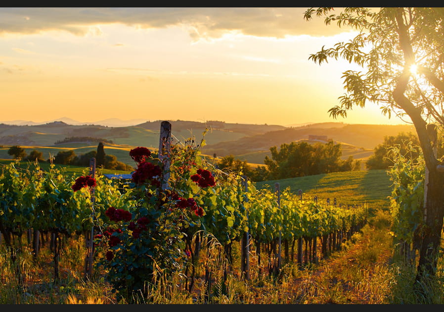 Chianti, un territoire viticole historique