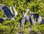 Des mains vertes pour la nature