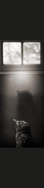 Laur&eacute;at n&deg;12&nbsp;: Alexandre Parrot