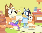 Bluey