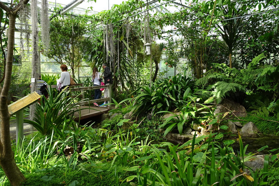 Le lieu le plus &eacute;colo de Brest&nbsp;: le Conservatoire botanique national