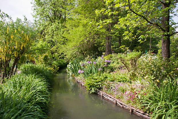 Le jardin d'eau
